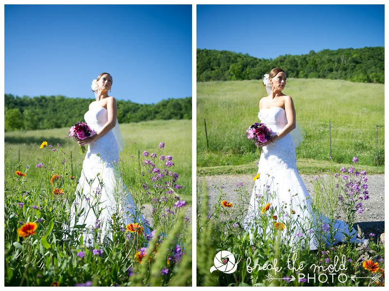 jarrett-rutland-art-wedding-claxton-farms-mountain-nc-asheville-photographer-sunny-unique-artistic_0657.jpg