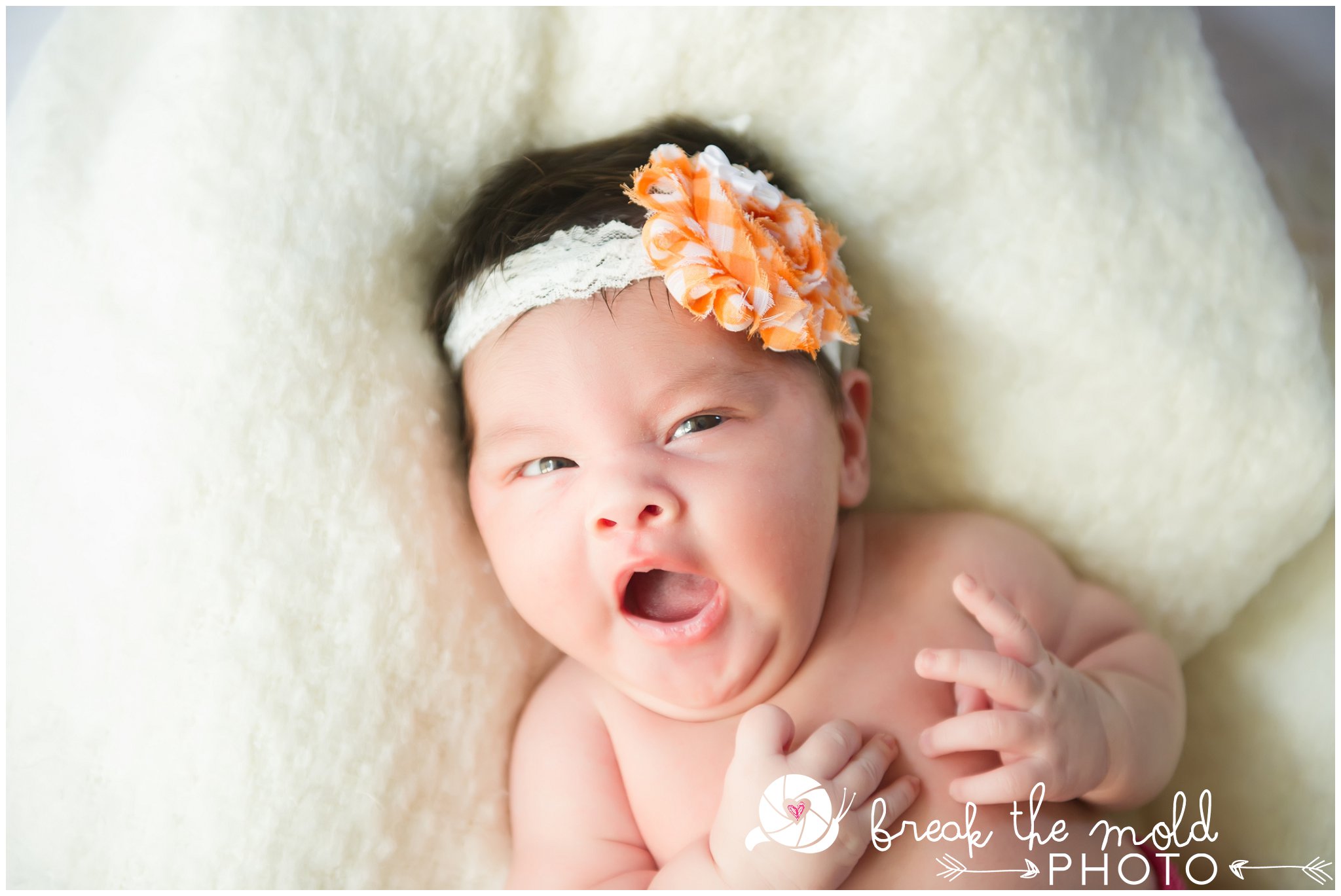 break-the-mold-photo-knoxville-newborn-photographer-creative-affordable-newborn-baby_2882.jpg