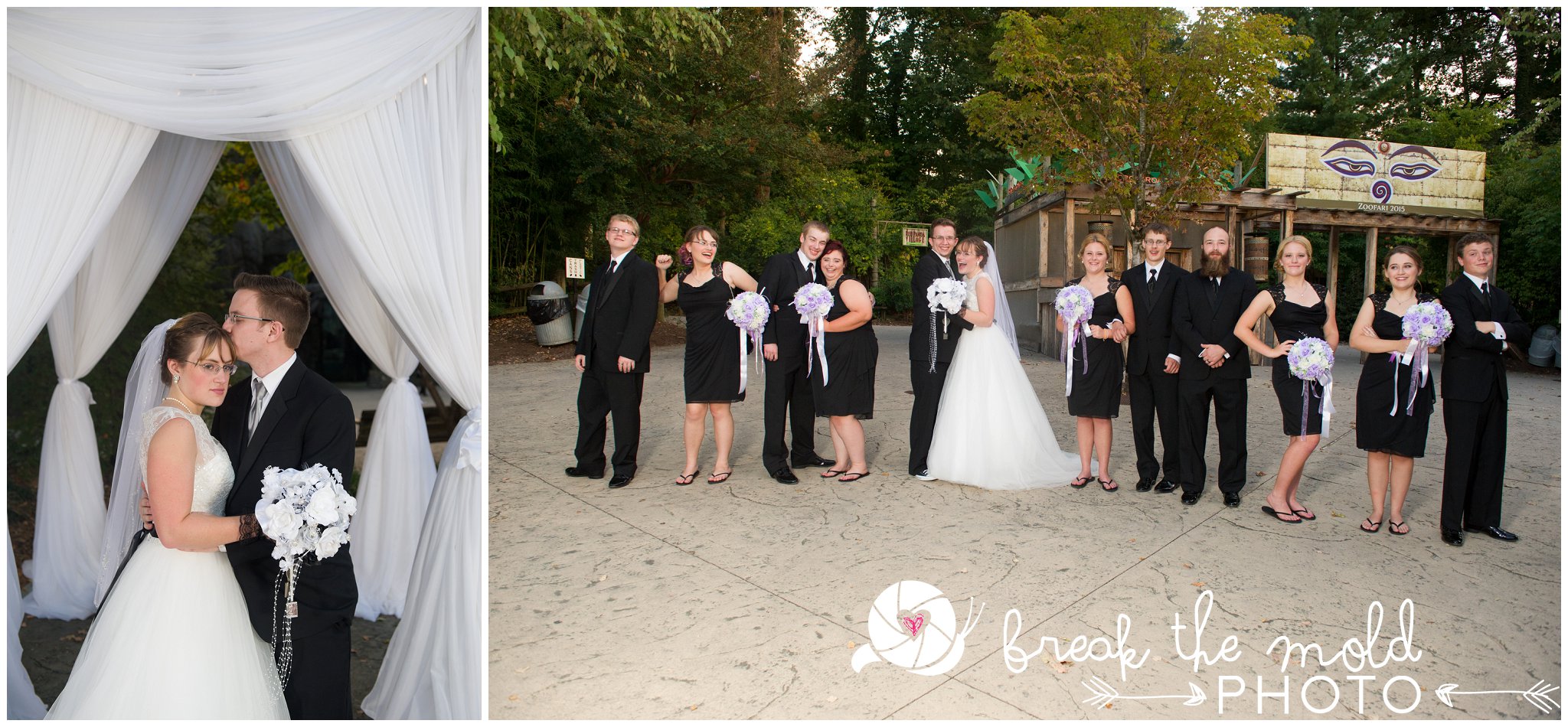 break-the-mold-photo-wedding-zoo-knoxville-tn_5966.jpg