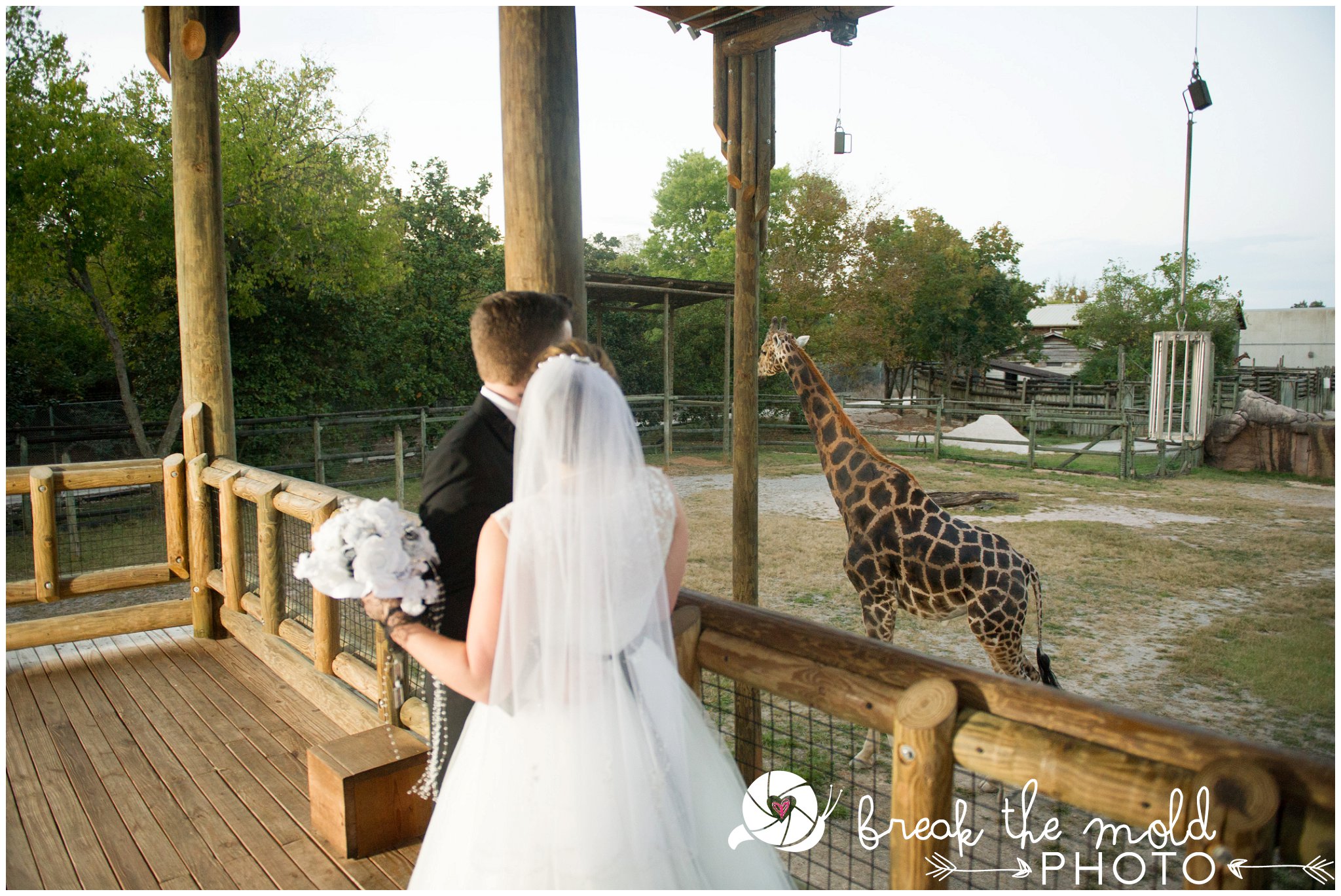 break-the-mold-photo-wedding-zoo-knoxville-tn_5970.jpg