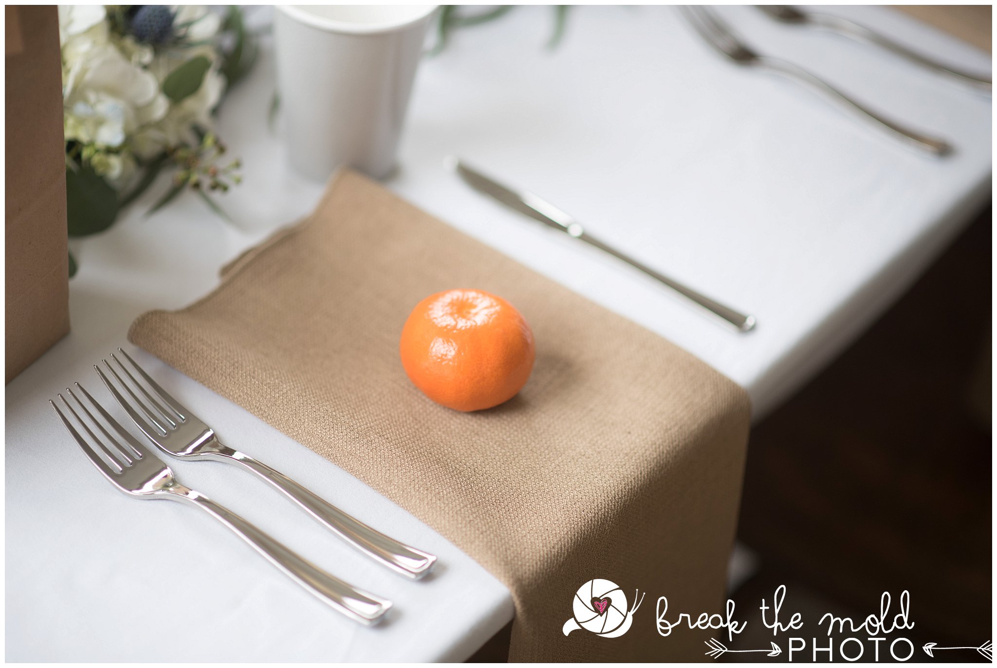 wedding-backyard-simon-hall-private-chef-magnolia-louisville-tn-elopement-destination-wedding-break-the-mold-photo_0137.jpg