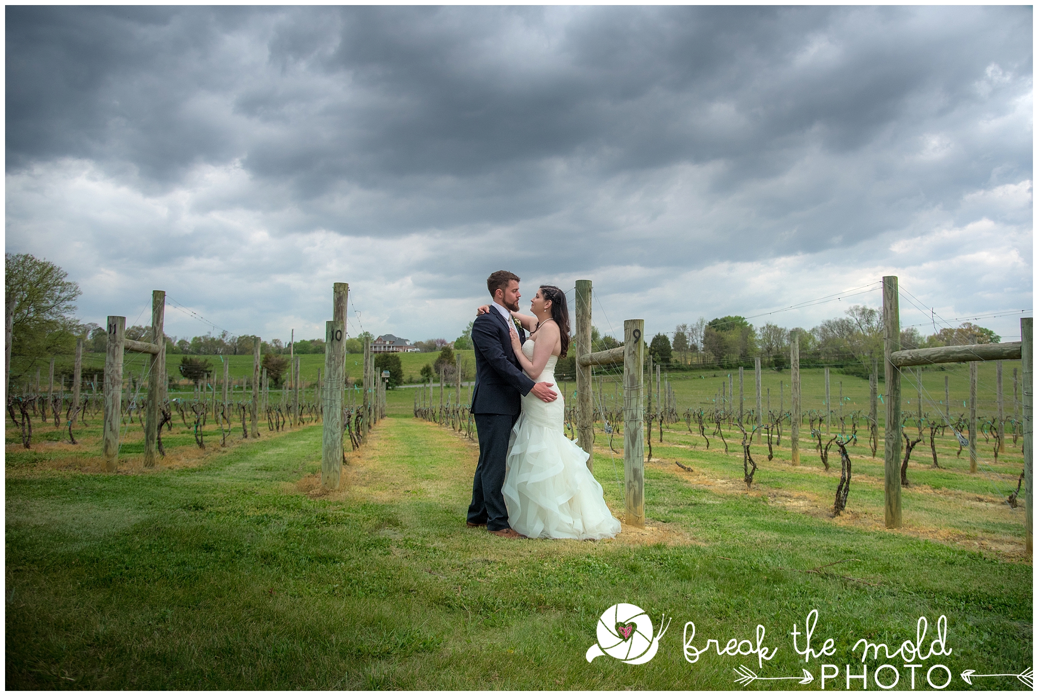 wedding-maryville-vineyard-pleasant-hill-vineyards-wine-break-the-mold-photo-unique-affordable-photography-knoxville_0298.jpg